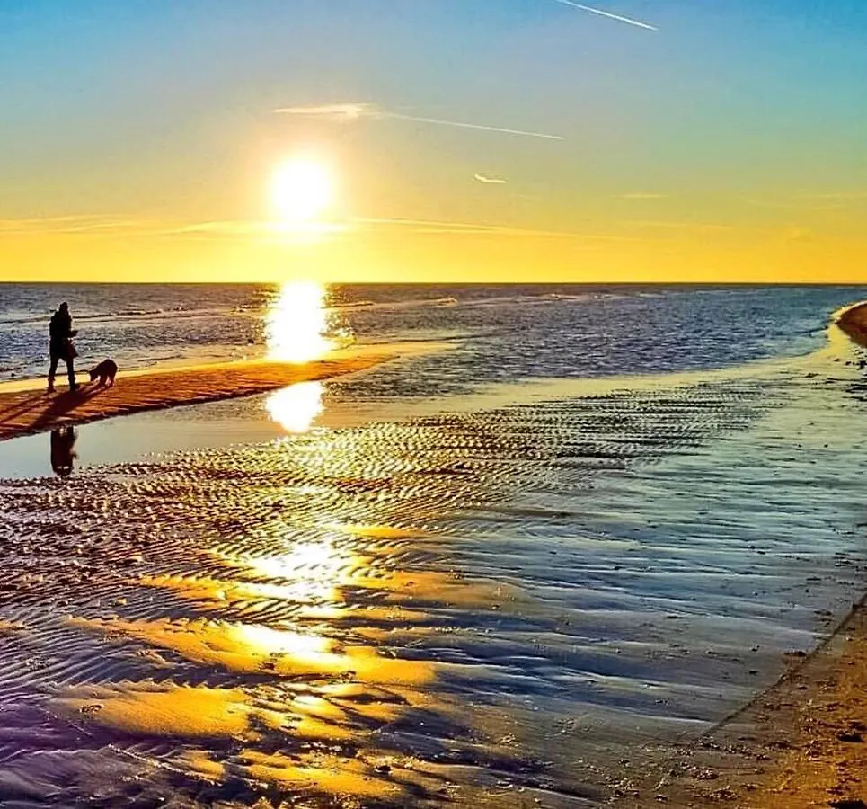Alla Pergola بيبيوني فندق